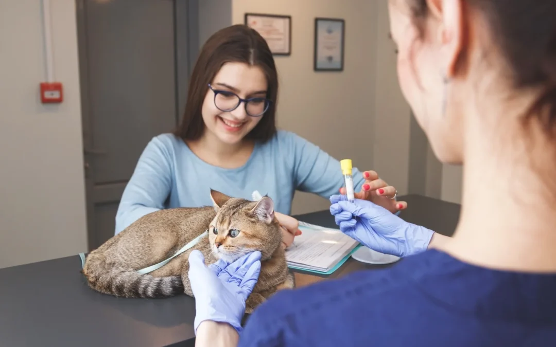 Homeopathy for Pets